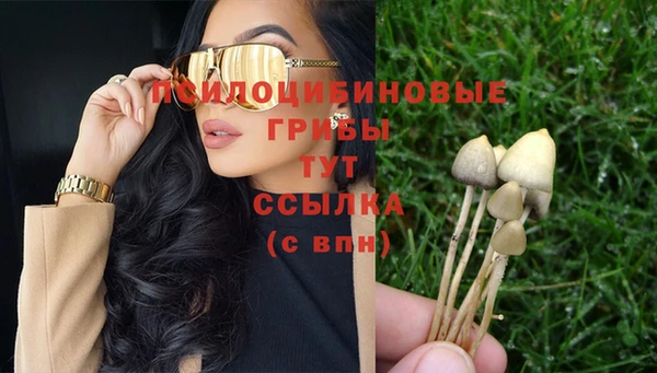 прущий лед Наволоки