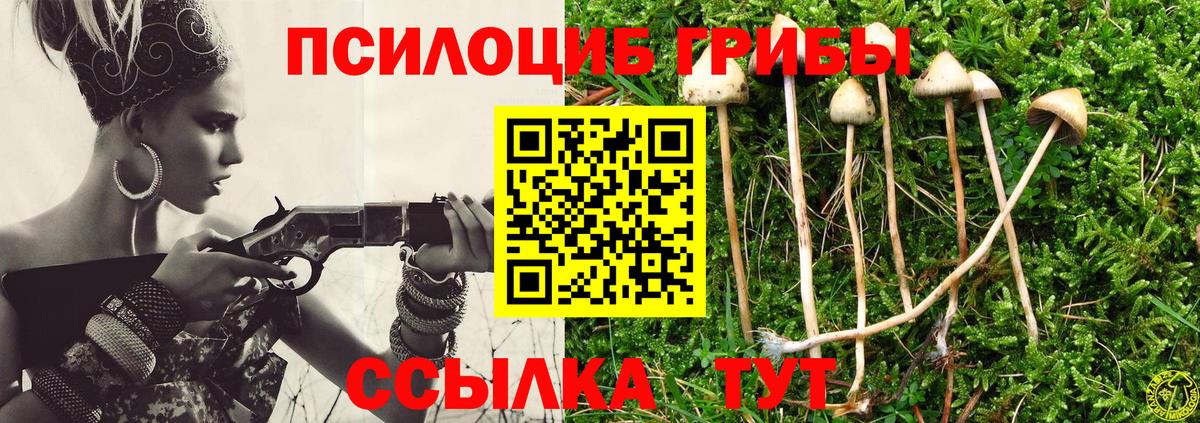 Псилоцибиновые грибы Psilocybine cubensis  Вход с VPN  Михайловка 